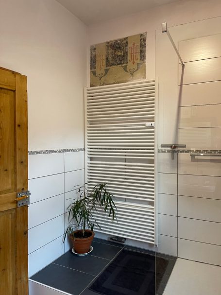 Badezimmer mit Handtuch-Heizkörper und Dusche Moderne Badezimmeransicht mit Handtuchheizkörper, Pflanze und Duschbereich.