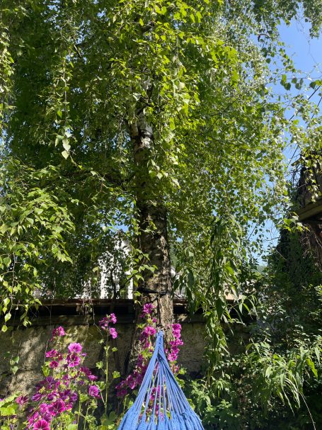 Hängematte unter der Birke im Garten Grüner Baum mit Blättern, umgeben von bunten Blumen im Freien.